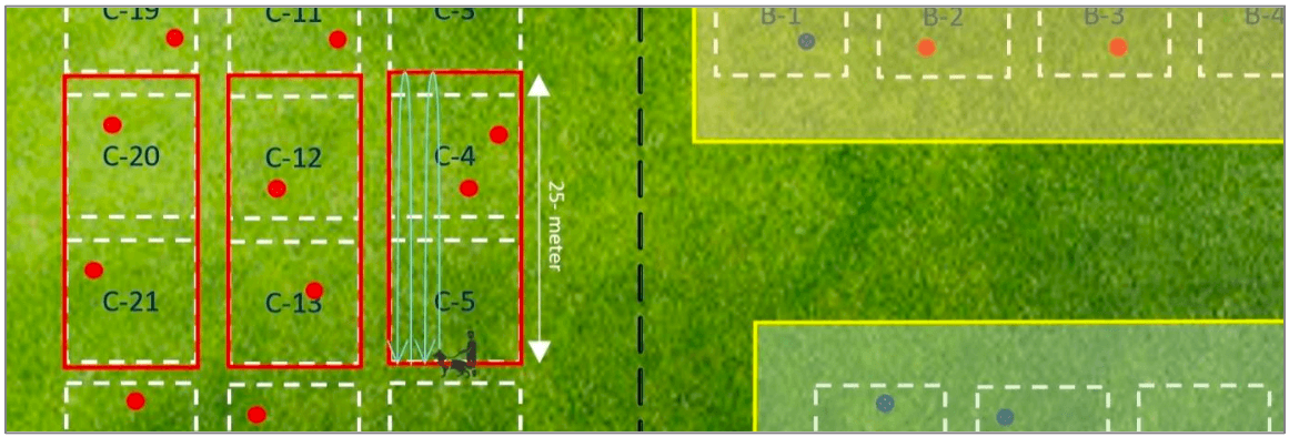 Figure 2: Two 10x10 boxes are united, creating a 10x25 panel for TSD testing